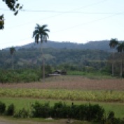 Vista hacia Jagüey